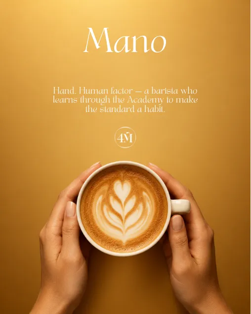 Plakat kampanje 4M: Mano